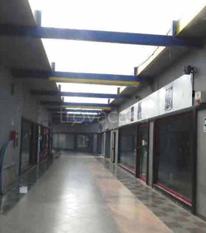 immagine annuncio 9 di 14