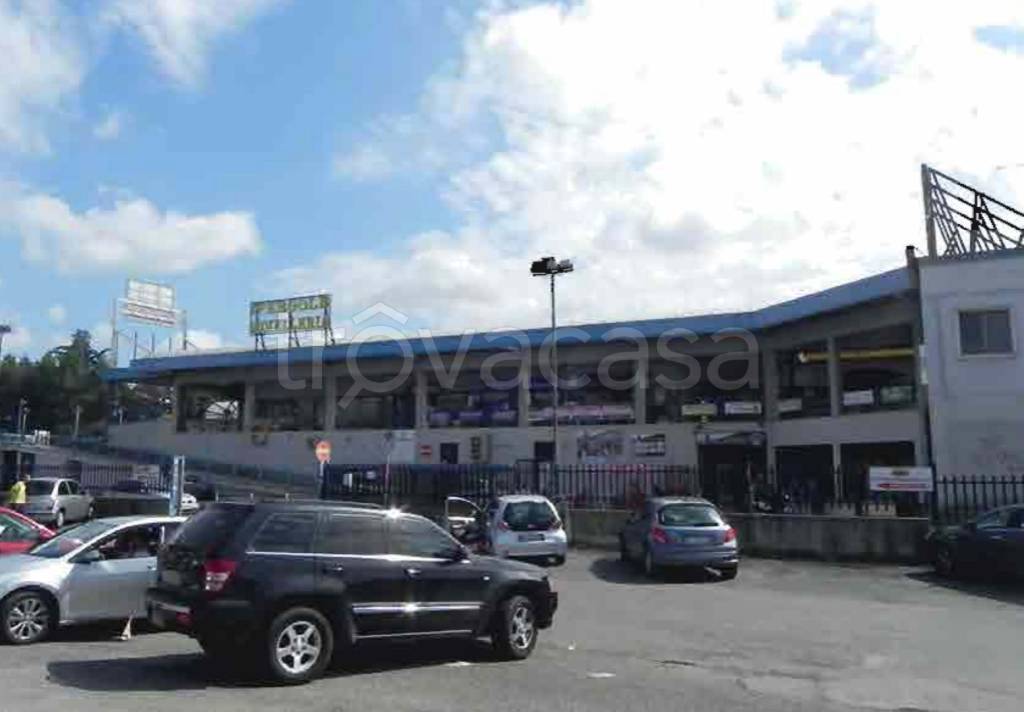 immagine annuncio 10 di 14