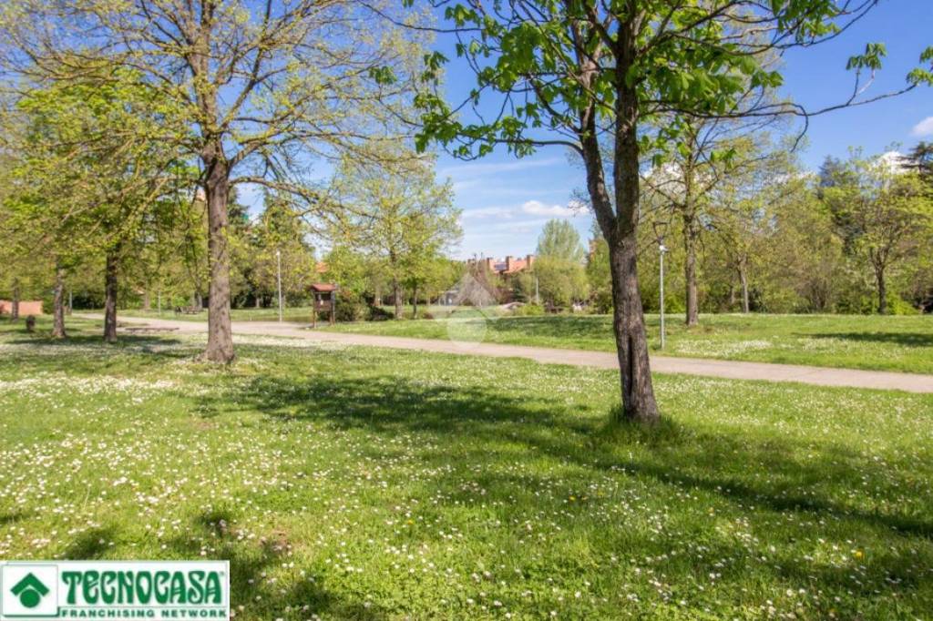 immagine annuncio 5 di 6