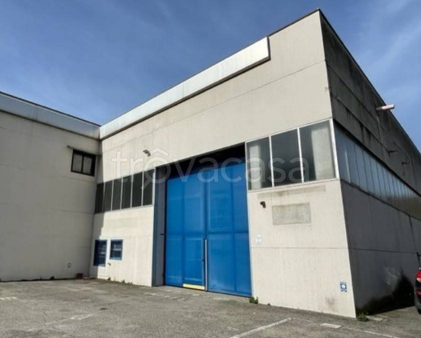 immagine annuncio 3 di 12