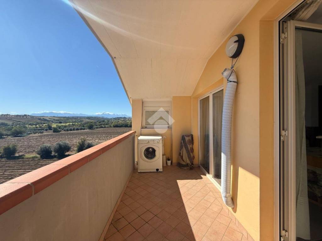 immagine annuncio 11 di 12