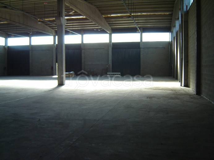 immagine annuncio 5 di 12