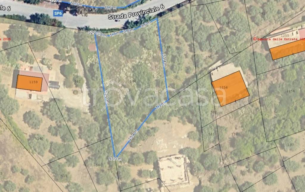 immagine annuncio 2 di 8