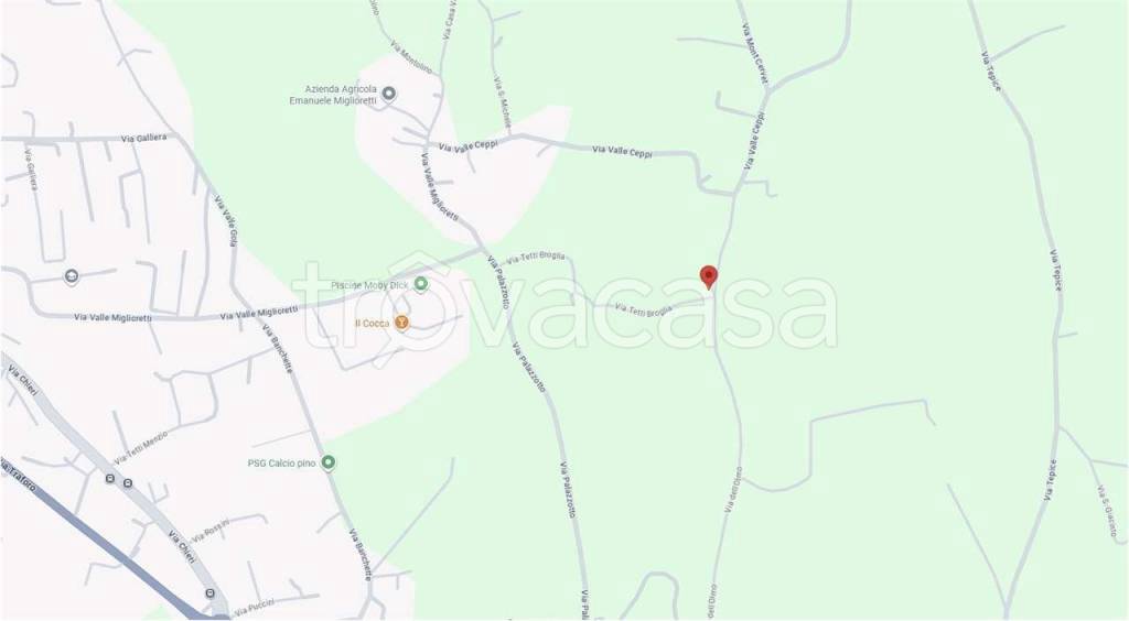 immagine annuncio 5 di 15