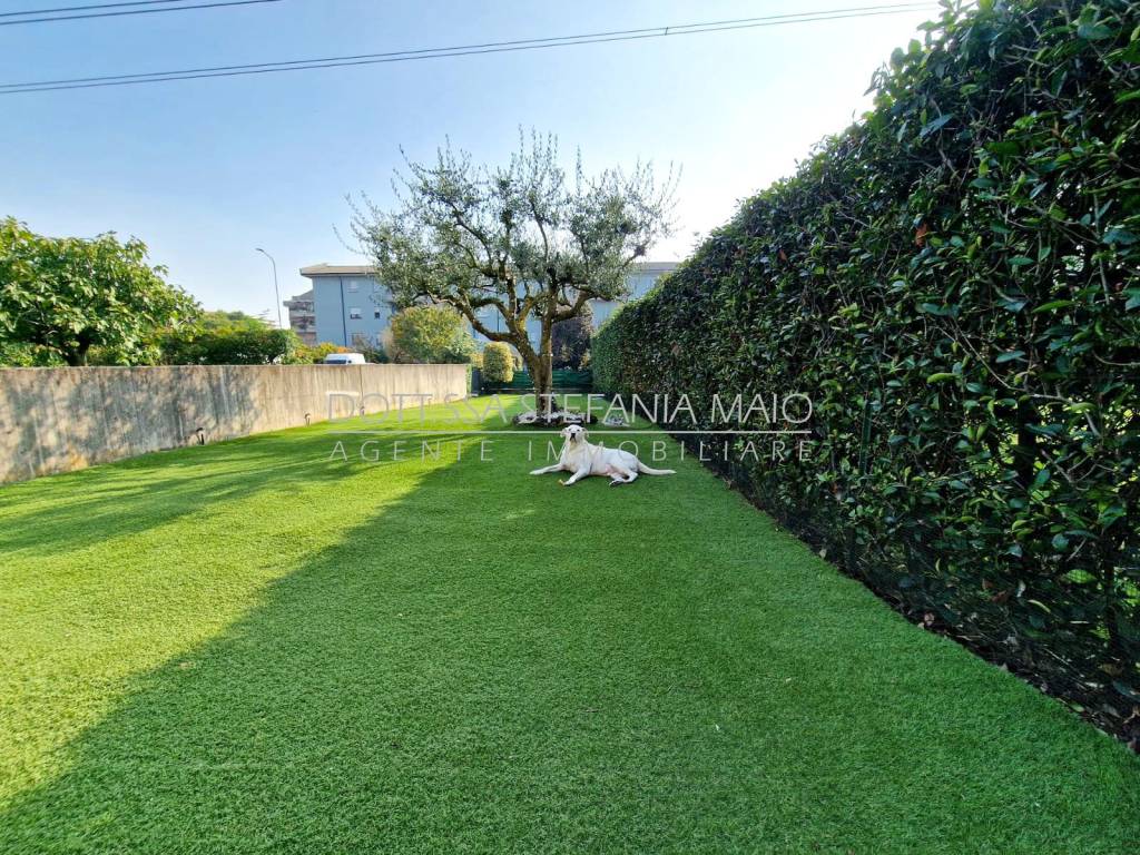 immagine annuncio 5 di 15