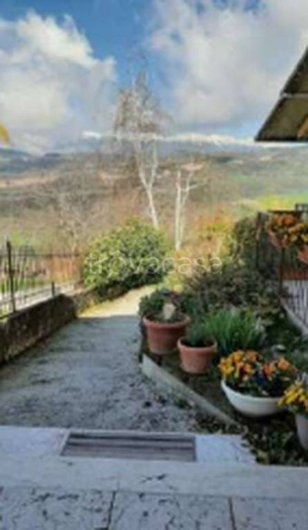 immagine annuncio 7 di 12