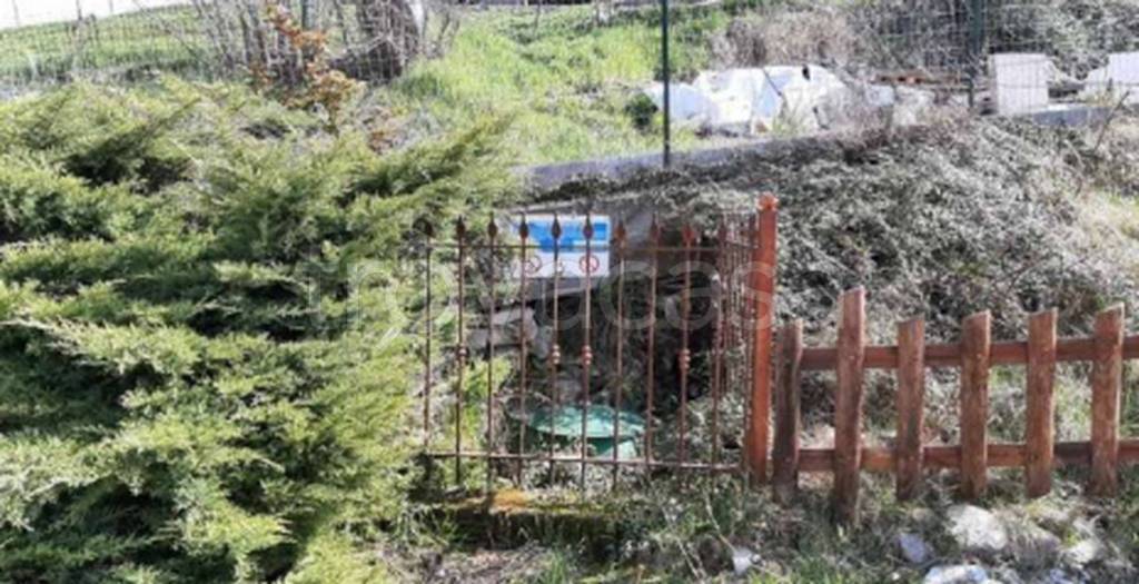 immagine annuncio 10 di 12