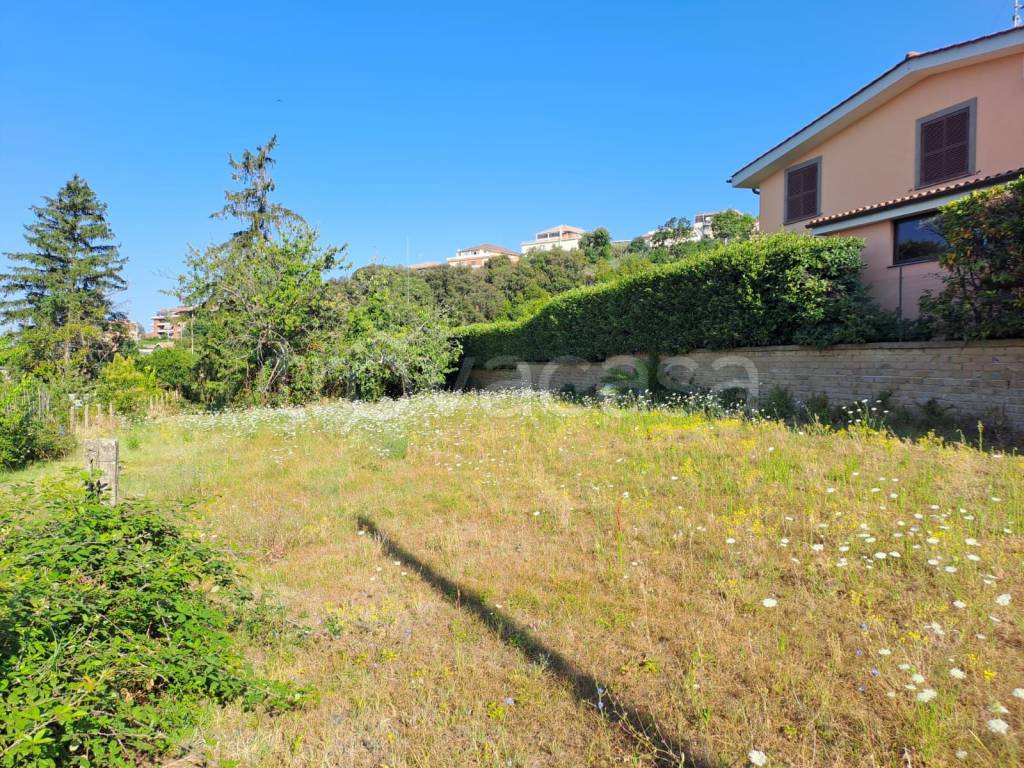 immagine annuncio 4 di 12