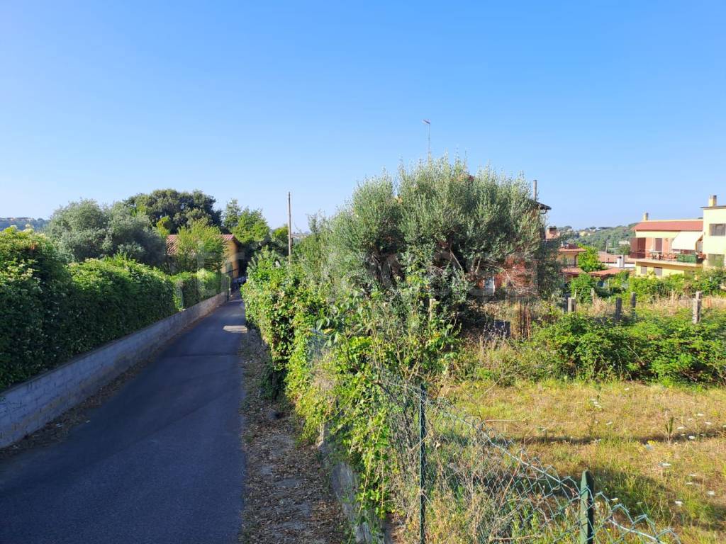 immagine annuncio 8 di 12