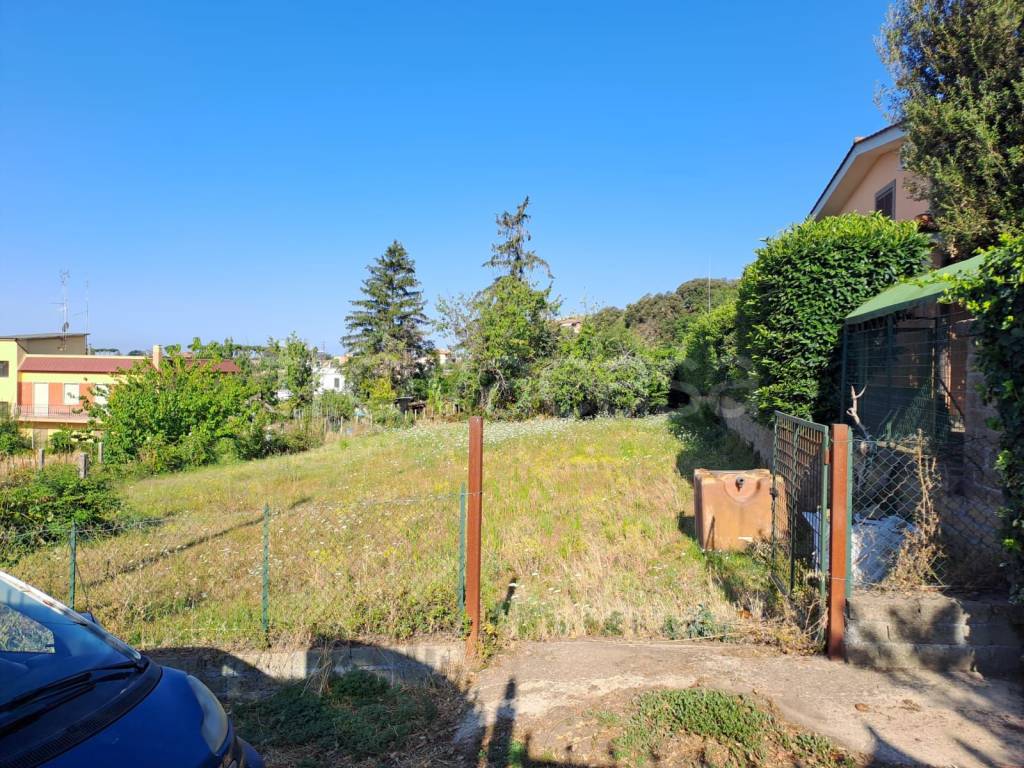 immagine annuncio 9 di 12