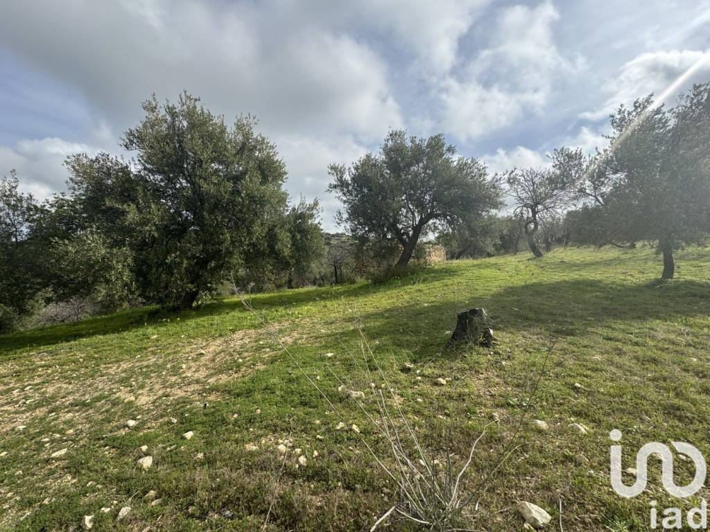 immagine annuncio 3 di 8