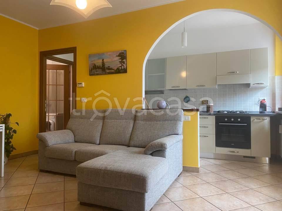 immagine annuncio 5 di 13