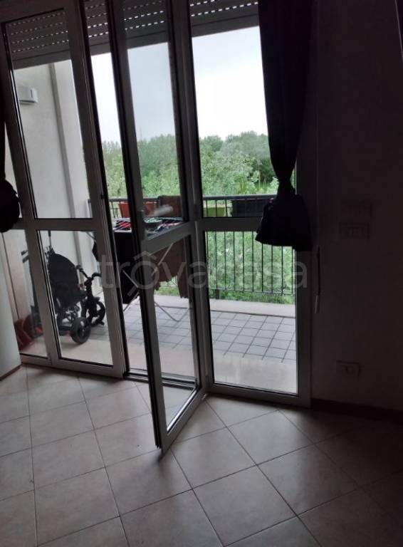 immagine annuncio 4 di 12