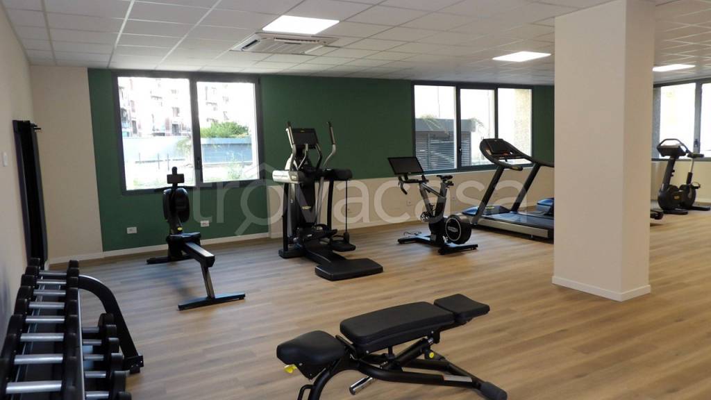 immagine annuncio 5 di 14