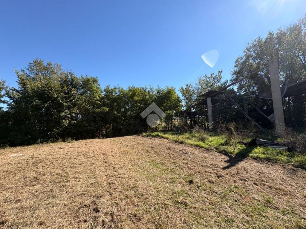 immagine annuncio 5 di 14