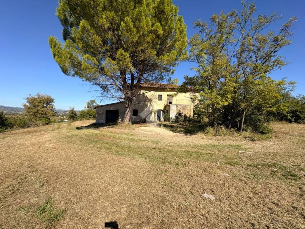 immagine annuncio 7 di 14