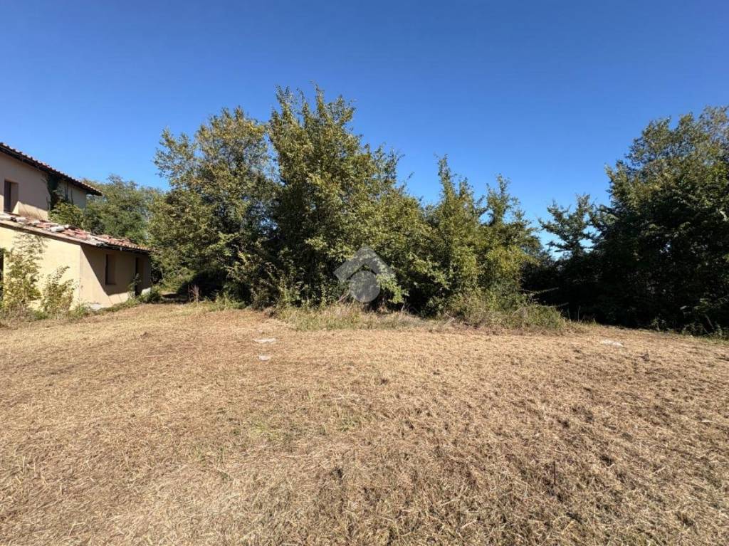 immagine annuncio 11 di 14