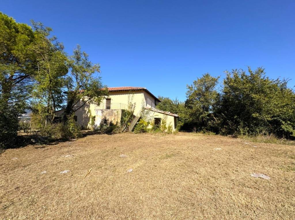 immagine annuncio 12 di 14