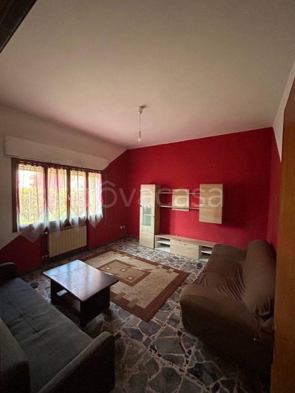 immagine annuncio 5 di 14