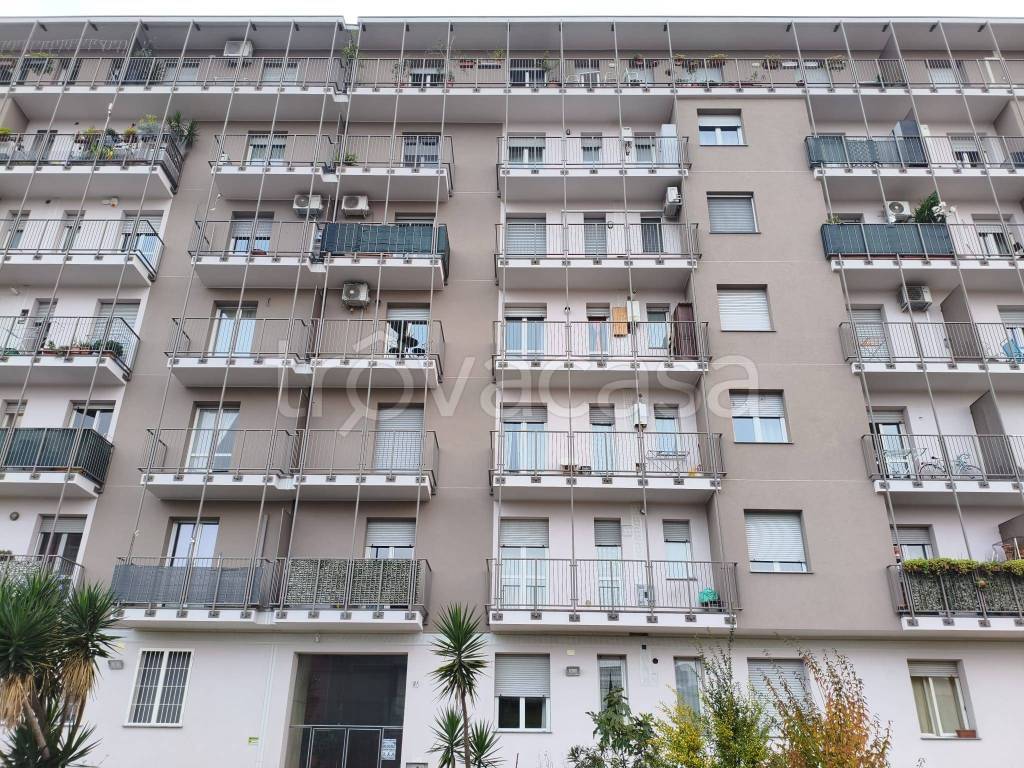 immagine annuncio 12 di 13