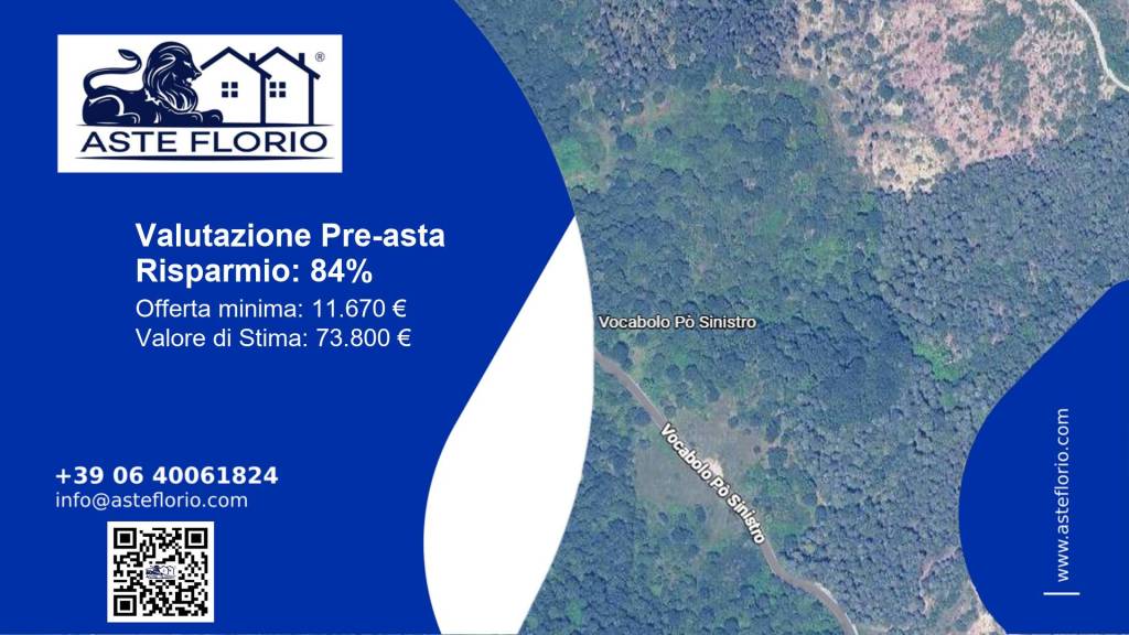 immagine annuncio 1 di 12