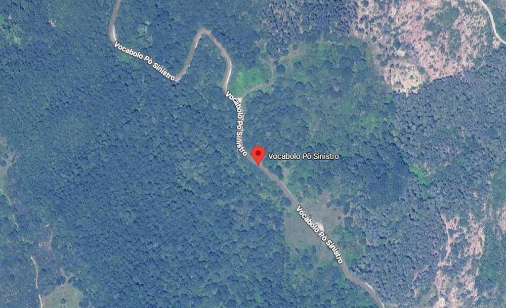 immagine annuncio 10 di 11