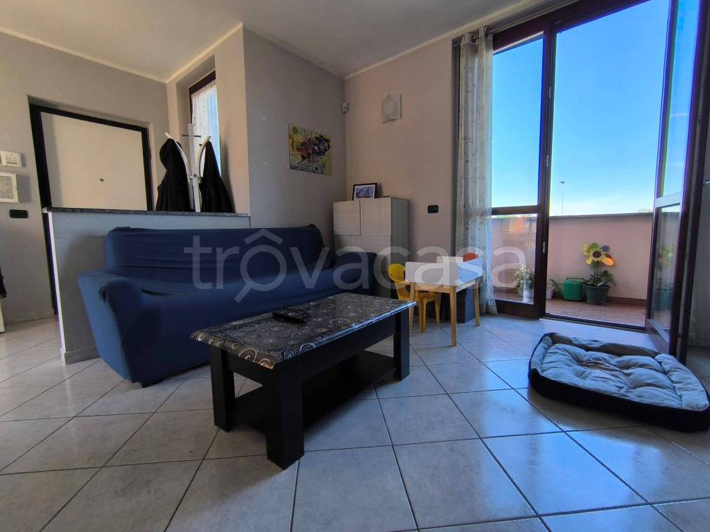 immagine annuncio 5 di 15