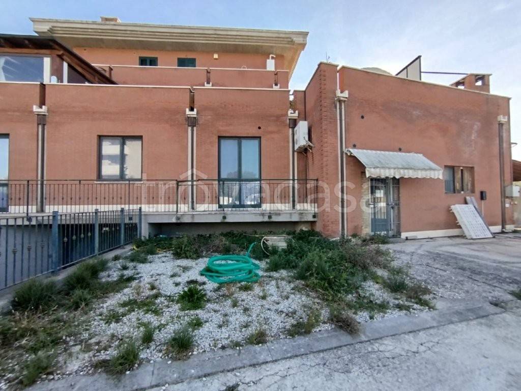 immagine annuncio 4 di 14