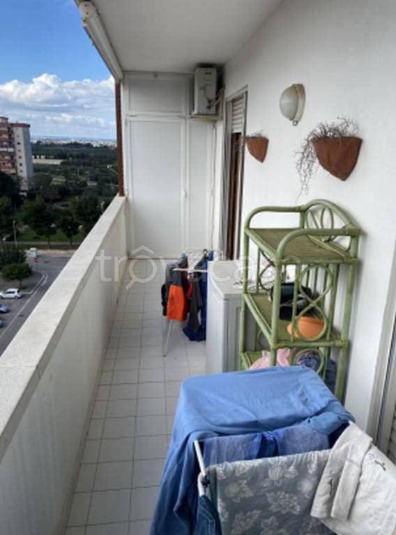 immagine annuncio 6 di 12