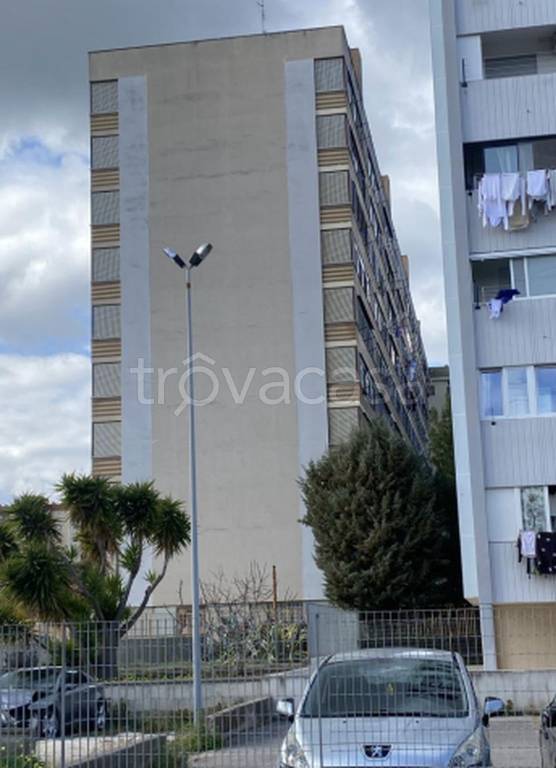 immagine annuncio 8 di 12