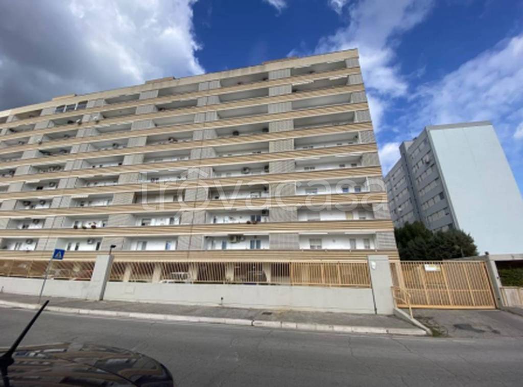 immagine annuncio 11 di 12