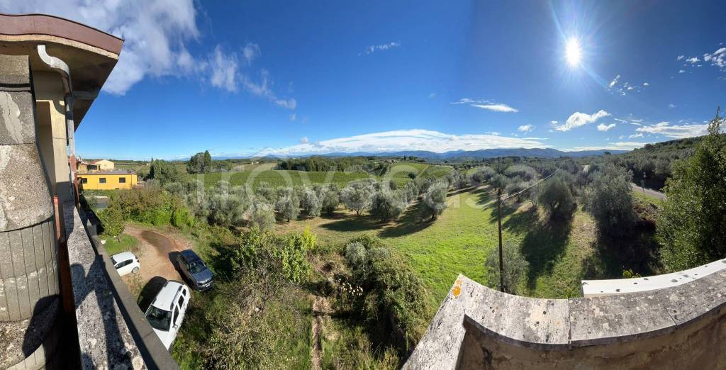 immagine annuncio 3 di 8