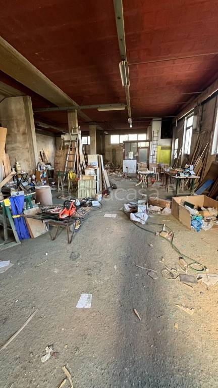 immagine annuncio 4 di 8