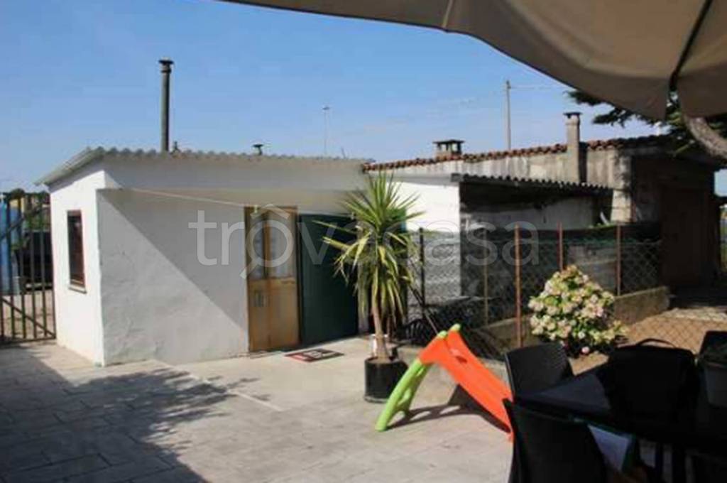 immagine annuncio 4 di 12