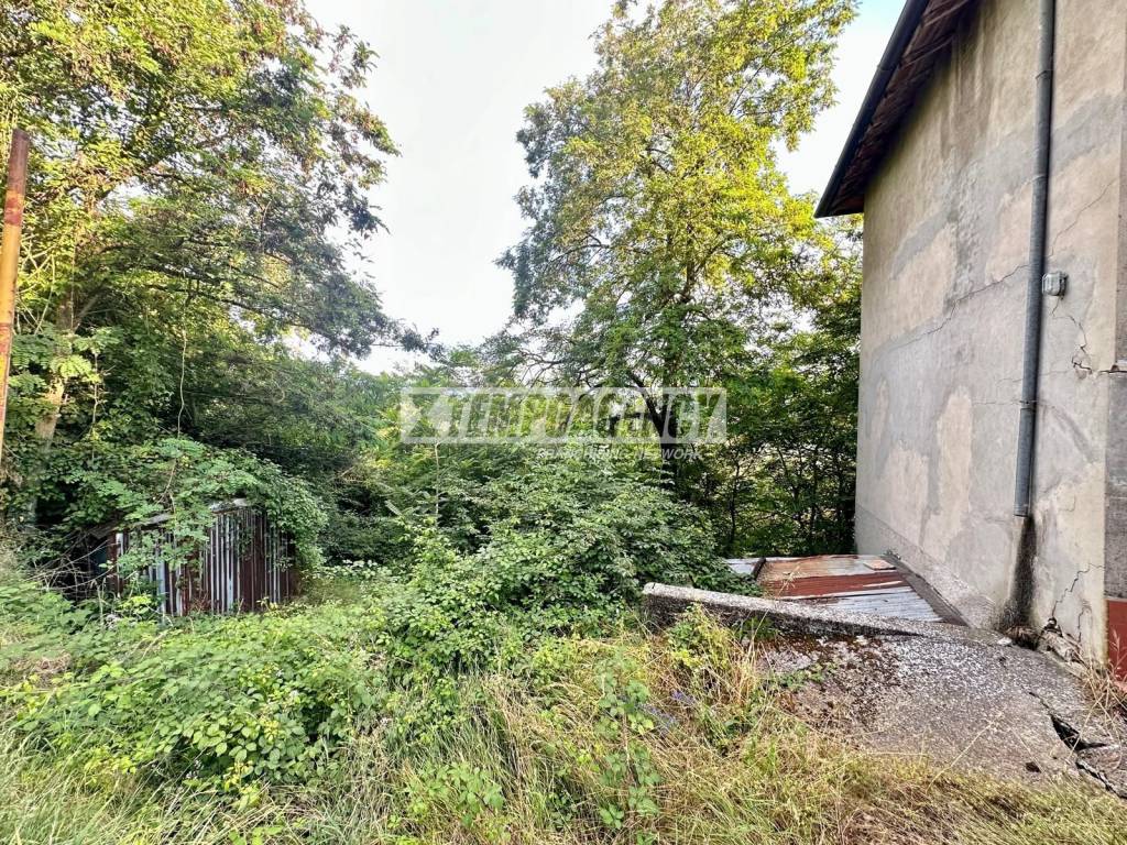 immagine annuncio 1 di 8