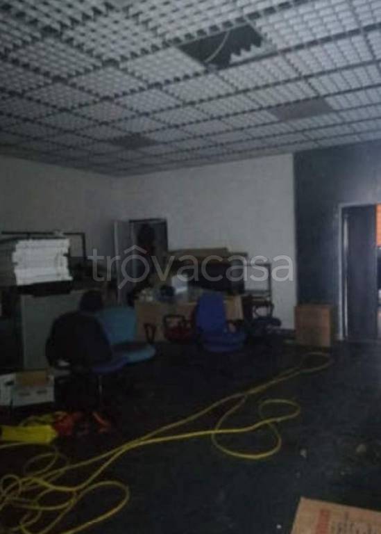 immagine annuncio 2 di 14