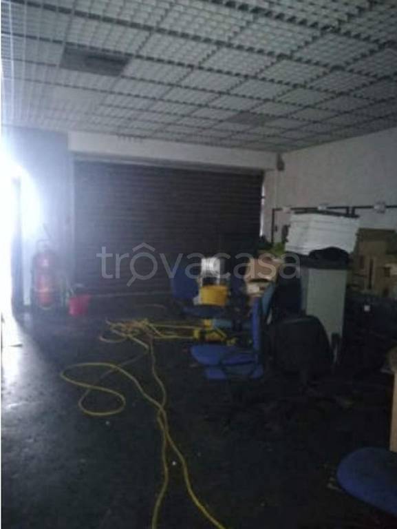 immagine annuncio 4 di 14