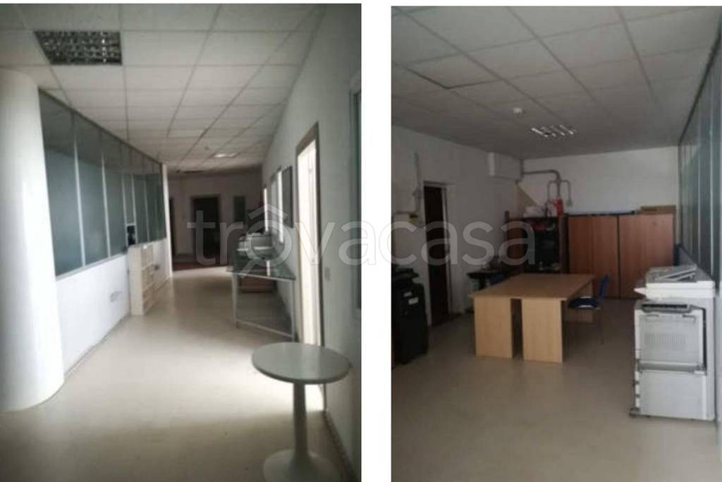 immagine annuncio 6 di 14