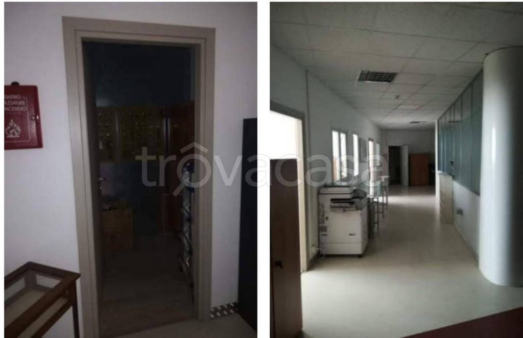 immagine annuncio 8 di 14