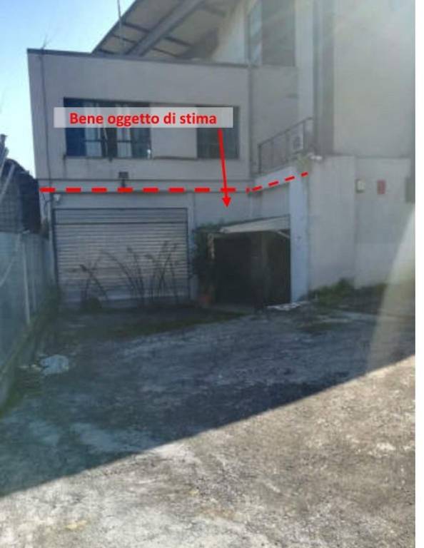 immagine annuncio 10 di 14