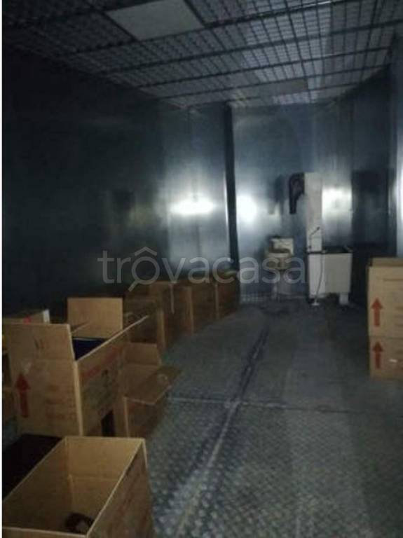 immagine annuncio 12 di 14