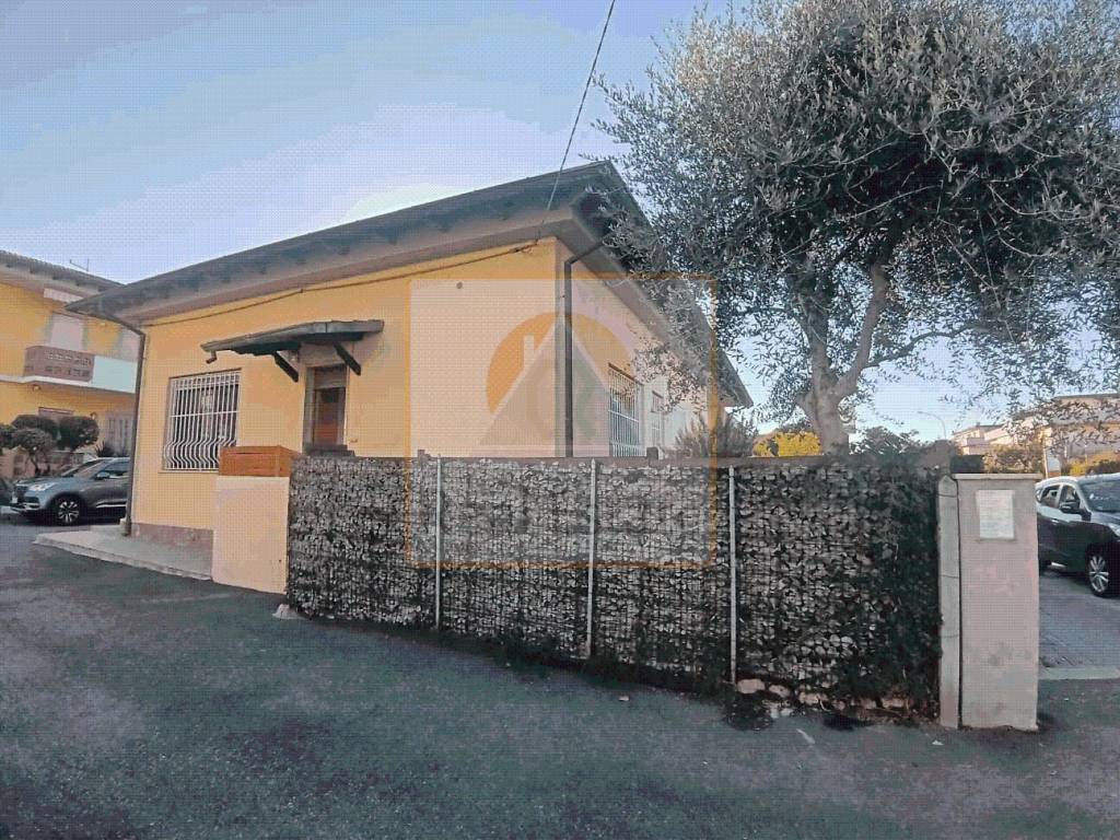 immagine annuncio 12 di 14