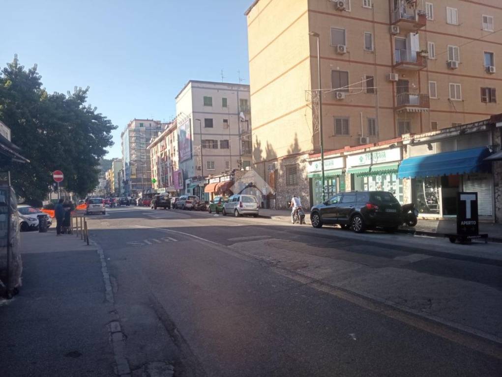 immagine annuncio 2 di 12