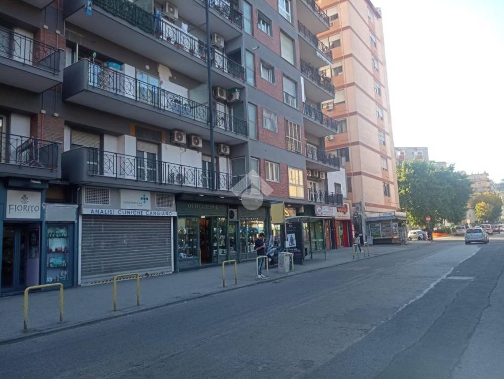 immagine annuncio 5 di 12