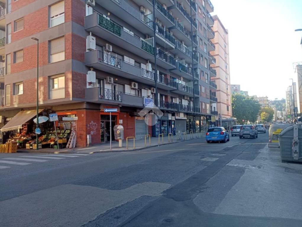 immagine annuncio 6 di 12