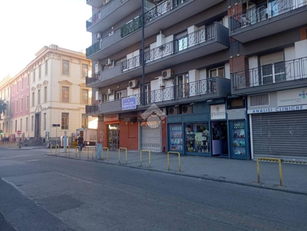 immagine annuncio 9 di 12