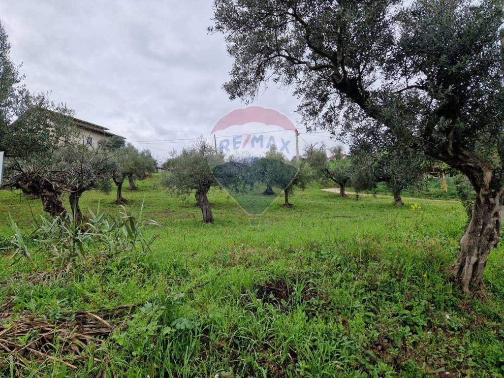 immagine annuncio 1 di 8