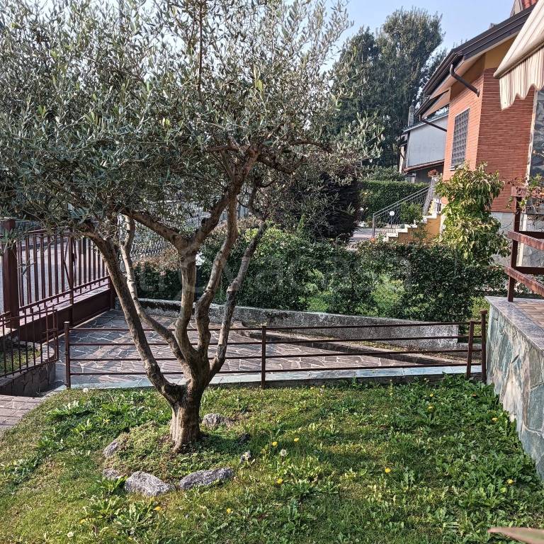 immagine annuncio 8 di 15