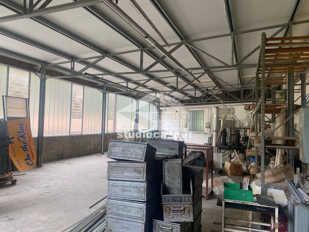 immagine annuncio 2 di 13