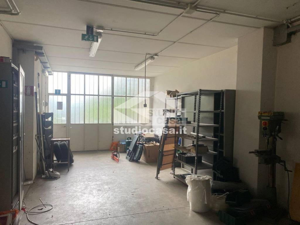 immagine annuncio 3 di 13